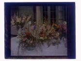 [Floral arrangements]