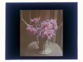[Floral arrangements]