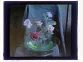 [Floral arrangements]