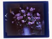 [Floral arrangements]