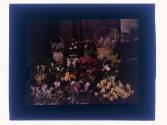 [Floral arrangements]