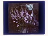 [Floral arrangements]