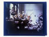 [Floral arrangements]