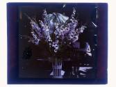 [Floral arrangements]