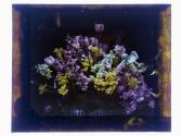 [Floral arrangements]