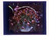 [Floral arrangements]