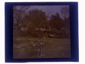 Cotton - Rockefeller home