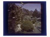 [Garden view]