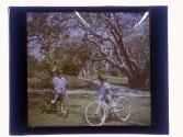 [Two children on bicycles, palm trees in background]