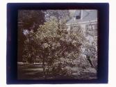 [Architetcural and garden view of Lindsay home in Ormond Beach, Florida]
