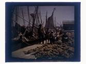 [Sponges on dock, Tarpon Springs Sponge Market]