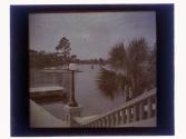 Tarpon Dock