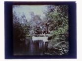 [Boat on Tomoka River, Florida]