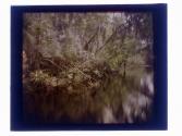 [Tomoka River, Florida]