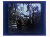 [Boat on Tomoka River, Florida]