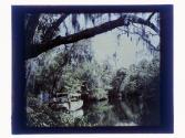 [People walking towards boat on Tomoka River, Florida]