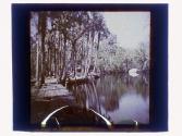 Tomoka River