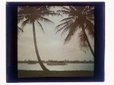 [Boat on waterway, palm trees in foreground]