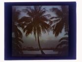 Sunset at Palm Beach