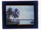 [Boats on waterway, palm trees on land]