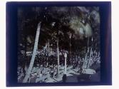 [Park band concert, Palm Beach]