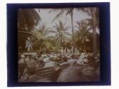 [Park band concert, Palm Beach]