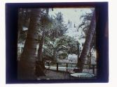 [Outdoor cafe with palm trees]