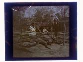 [Alligator farm]