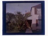 [House and garden]