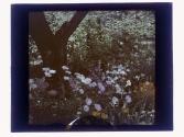 [Garden view]