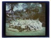 [Garden view]