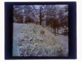 Foreman Rockery