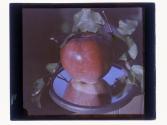 [Apple on mirror]