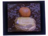 [Rochester Expo pumpkins]