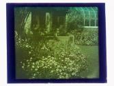 [House and garden]