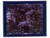 [Garden view]