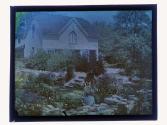 [House and garden]