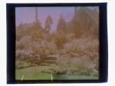 [House and garden]