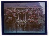 [House and garden]