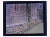 [House and garden]