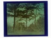 [Landscape]