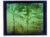 [Landscape]