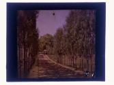 [Dirt road]