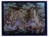 [Cemetary]