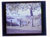 Eastman Lagoon Durand Eastman Park