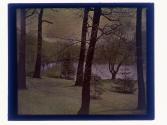 Seneca Pond
