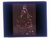 Christmas Tree at night Browncroft