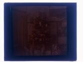 Christmas tree-Rochester All dark slides same