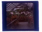 Hi Park Conservatory