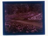 [Highland (?) Park view]